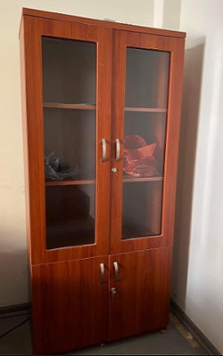Tủ hồ sơ tài liệu cánh kính TTL10